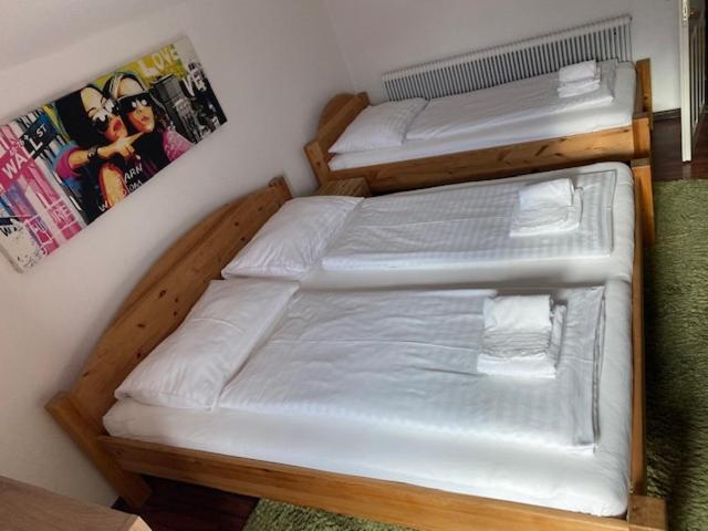 Hotel Wildschuetz Basic Altmünster Kültér fotó