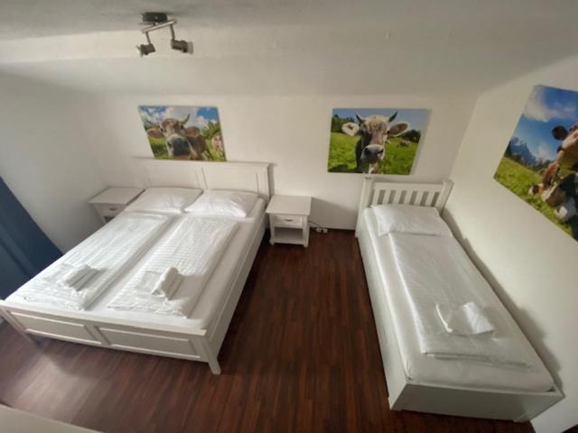 Hotel Wildschuetz Basic Altmünster Kültér fotó